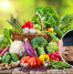 A colorful assortment of fresh vegetables, fruits, and healthy foods on a wooden table, symbolizing a nutritious diet for recovery. Inset shows a person holding their abdomen, indicating the importance of diet in supporting navel displacement recovery.